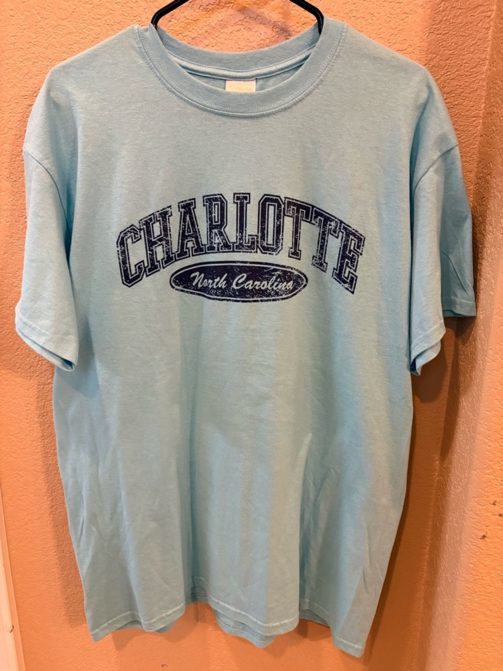 Gildan Light Blue Charlotte North Carolina Graphic Tee
